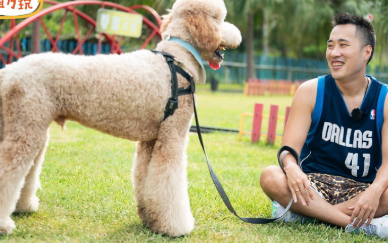 余祥銓管不住余天愛犬！吳姍儒遭撞哀號：骨頭都快碎裂