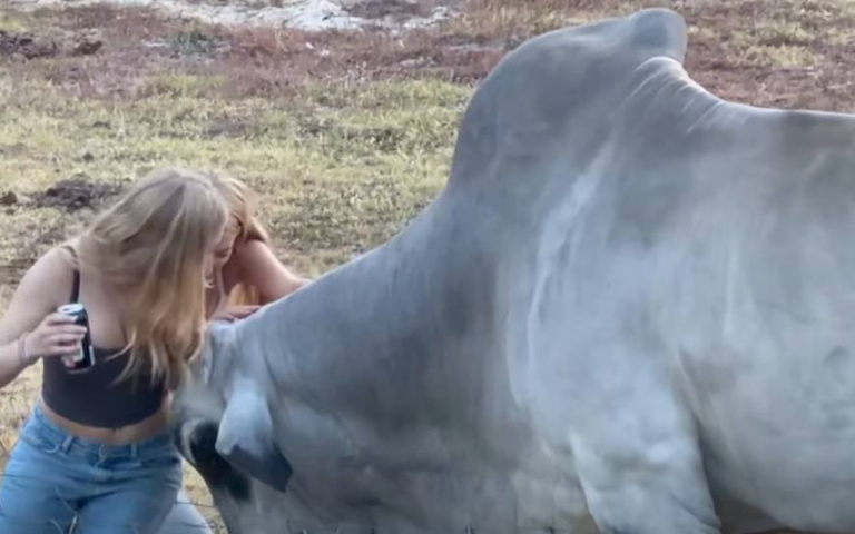 巨大公牛與年輕女孩們的邂逅　她們想推都推不動！