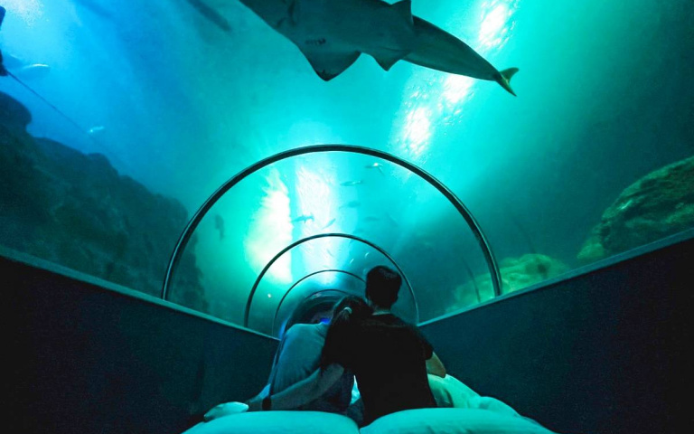 澎湖獨特玩法!無人島露營、海邊露營車、水族館睡一晚,被大海包圍入眠