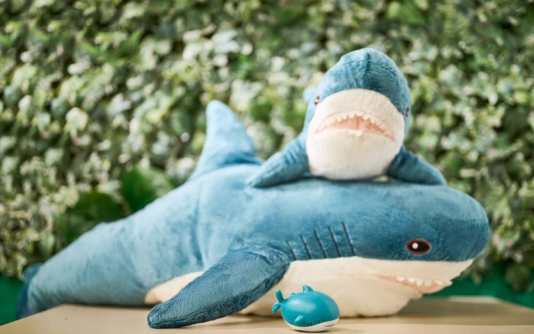 IKEA鯊魚到底紅什麼？曾動過換眼手術、全身健檢，身世秘密大公開！