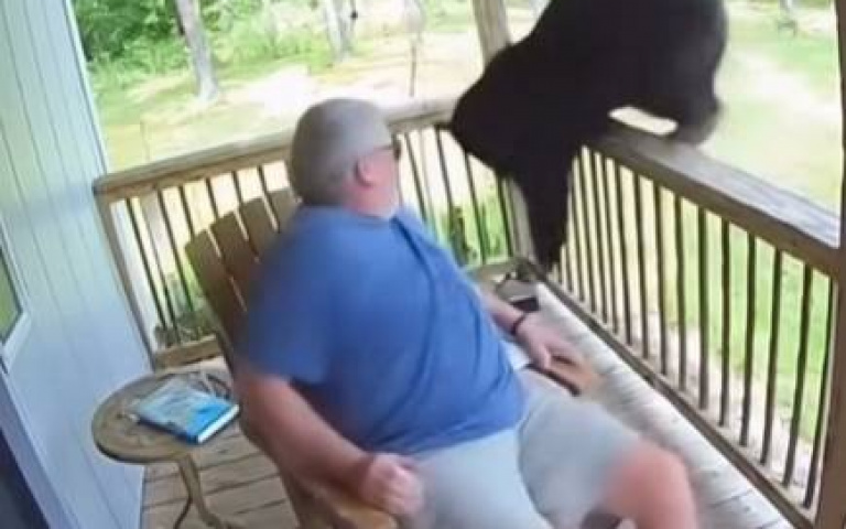 這算是誰嚇誰？　老翁睡得香甜「張眼見熊」雙方都嚇爛