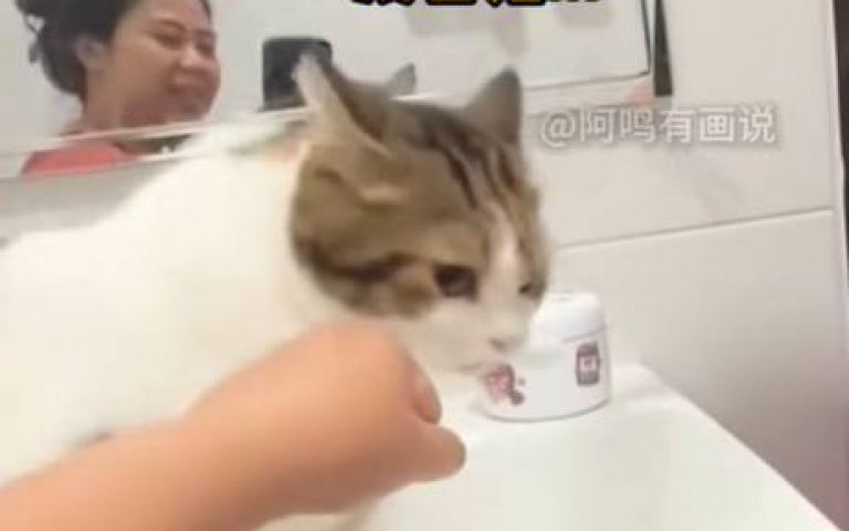 猜拳玩貓咪釘書機！　不咬老母、爹一伸手秒張口