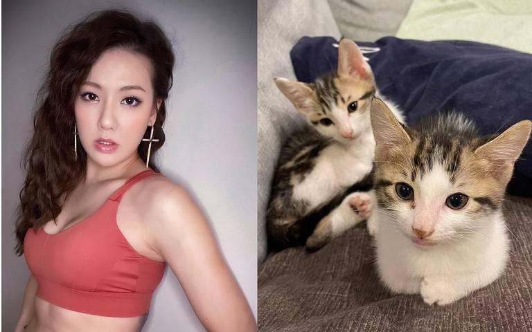 寵物情緣／劉雨柔迎新成員　自嘲「4小時餵奶一次」像當媽