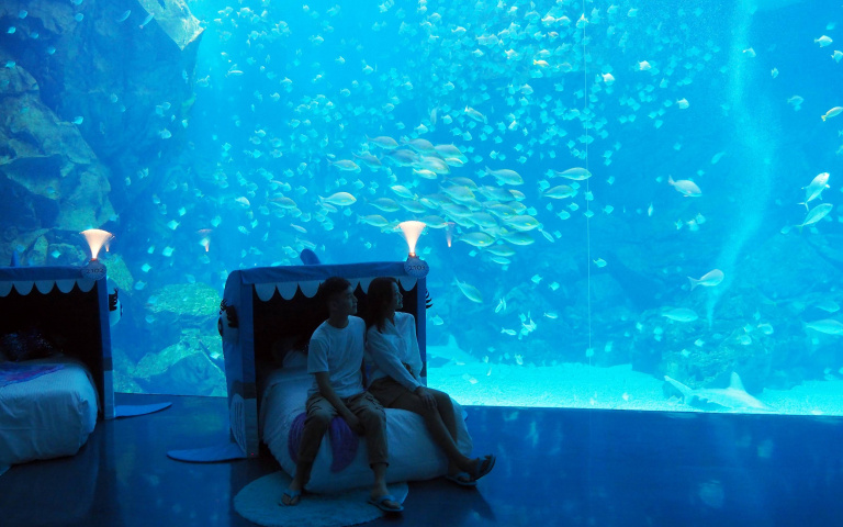 夜宿海景第一排…桃園頂級海洋系探險今起跑　15人以上豪華包團