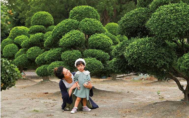 漫遊園藝小鎮 彰化田尾