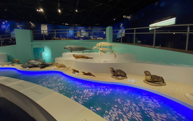 「古生物的奇幻世界」特展來了!超過300件生物標本,帶你了解演化的故事
