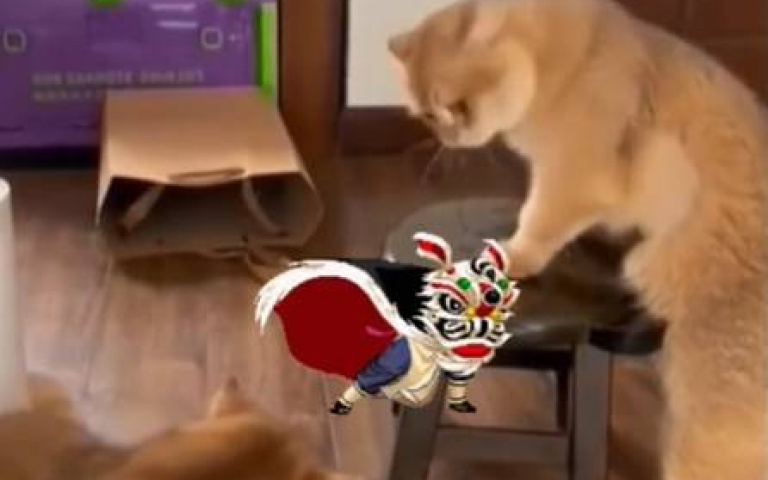 看到板凳就嗨了？　貓咪踏上高處「舞龍舞獅」瘋狂搖頭