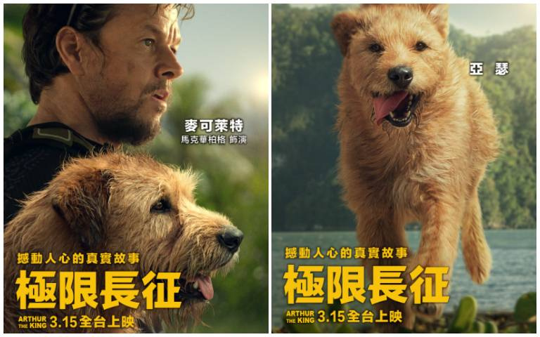 電影預告／《極限長征》馬克華柏格膝蓋撕裂不喊卡！愛狗成痴曝想賄賂訓犬師