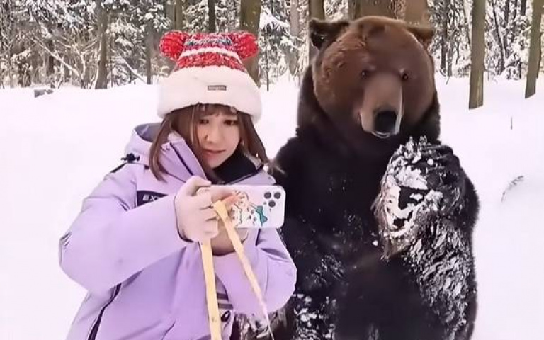 迷路的小棕熊！　靠賣萌成為一個大網紅