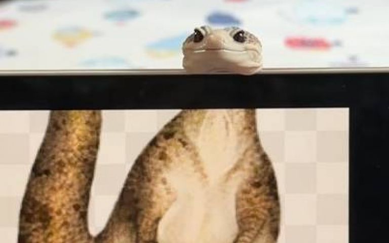 主人讓蜥蜴玩「類Cosplay」　網友看完笑翻：變成自己的祖先