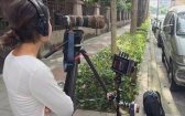 直擊台灣藍鵲偷衣架！　攝影團隊花了3年才捕捉到