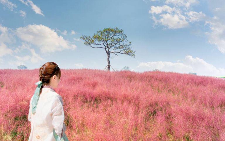 下半年重頭戲賞楓季來了！揭開日韓10大必訪楓葉勝地