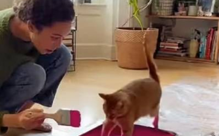 凡走過必留下痕跡？　貓咪踩完顏料盤在家裡亂竄…主人尖叫