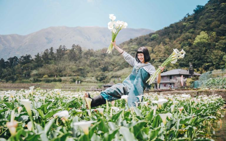 海芋季開跑啦!3大仙氣破表的夢幻花海,通通打卡打起來!