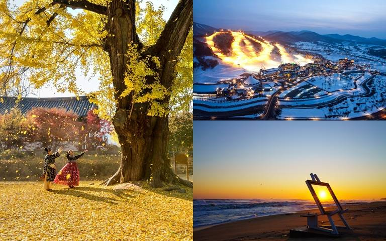 韓國來回機票免費送！台北旅展「韓國館」，設置賞楓、滑雪造景讓大家體驗