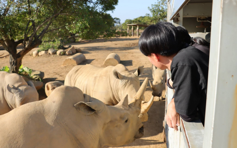 六福莊超夯主題房!入住贈活力早餐、六福村門票,動物變裝髮箍!