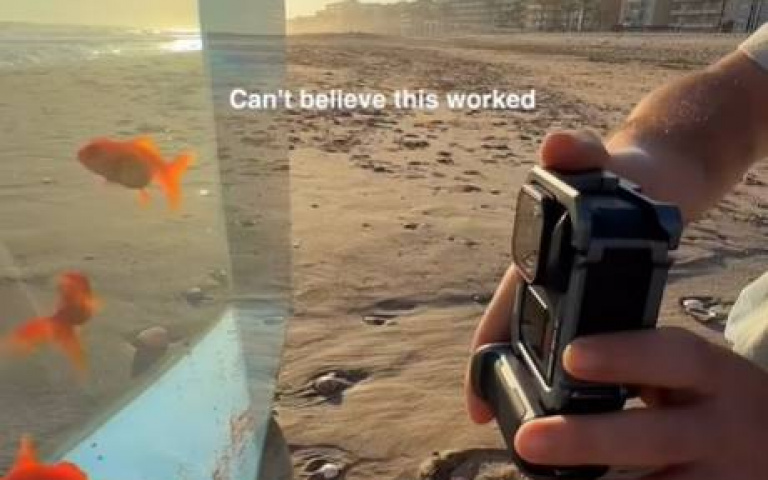 搬個魚缸到海邊要幹嘛？　他拍出超狂唯美照