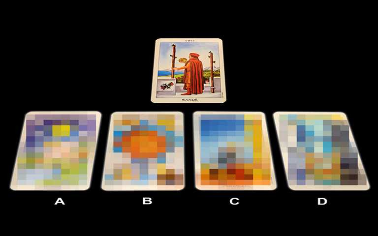 ［心塔羅_豆苗］苗準人生-最近我能不能順利減肥成功呢？