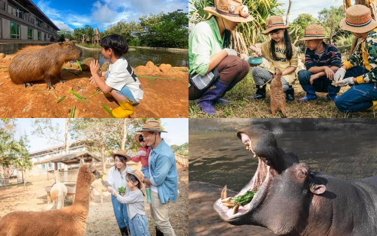 小學生有福了! 入住六福莊不加價，超萌人氣動物體驗一次全包！