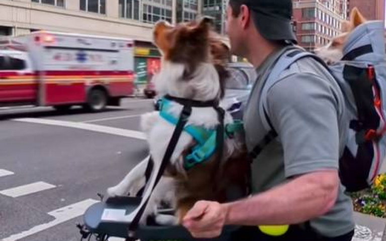 紐約雙寶模仿鳴笛聲　幫救護車開道逗笑大家了