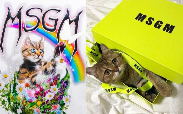 貓奴必收!MSGM推出超萌「喵星人」印花上衣!太可愛必須收!