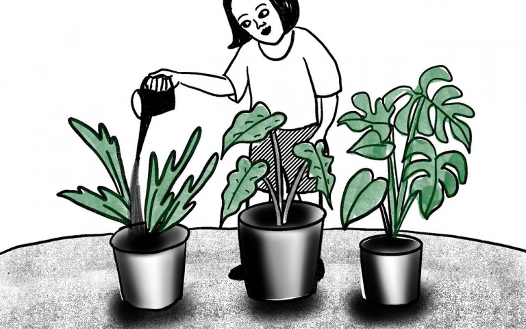 『SOYL所有』 亞洲唯一 集『策展、交易、媒體、管理』功能於一的NFT平台 2/17起搶先預覽 3/16正式啟動