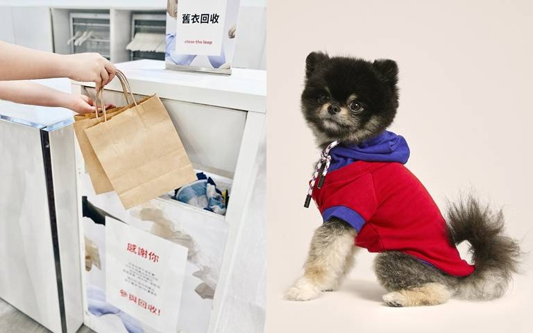 舊衣別急著丟!拿到H&M、UNIQLO除了能獲得購物折扣券,還可把二手衣改造成超可愛的寵物帽T喔!