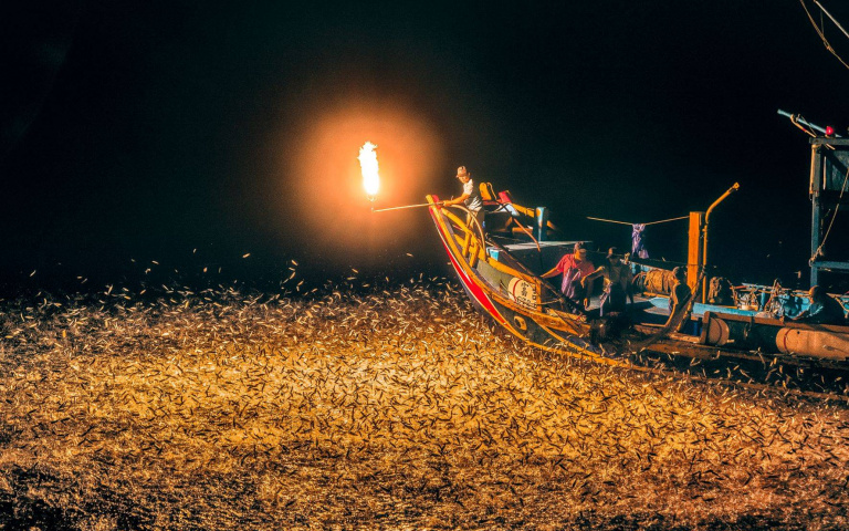 北海岸「蹦火仔」你知道嗎？體驗曬魚乾及享用青鱗魚、魚乾伴手禮！