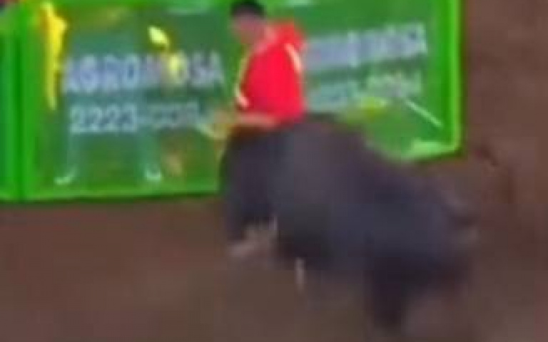 紅衣男禍不單行　鬥牛場逃竄「短短1分鐘內」升天兩次