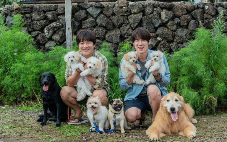 回憶養狗過往情緒湧心頭　柳演錫淚灑《超完美狗保姆》記者會