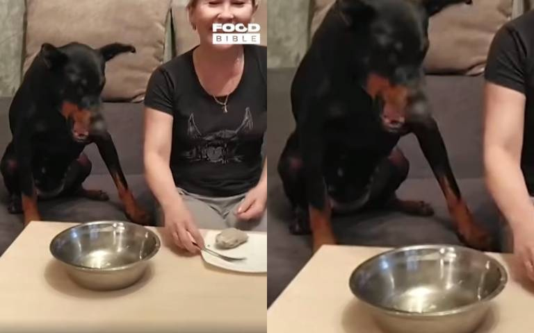 狗狗雖餓但不貪婪！　主人分兩份餐…牠叼回碗裡慷慨分享