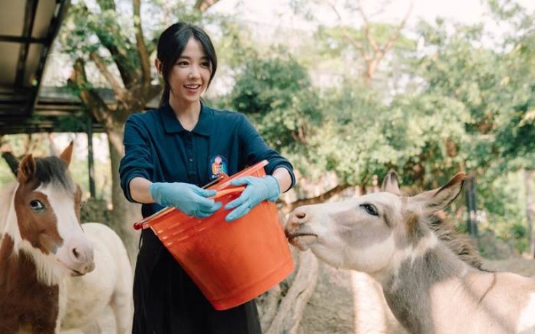 從廣告菁英到動物保育員！邵雨薇＆王柏傑主演《動物園》，職場愛情超療癒！