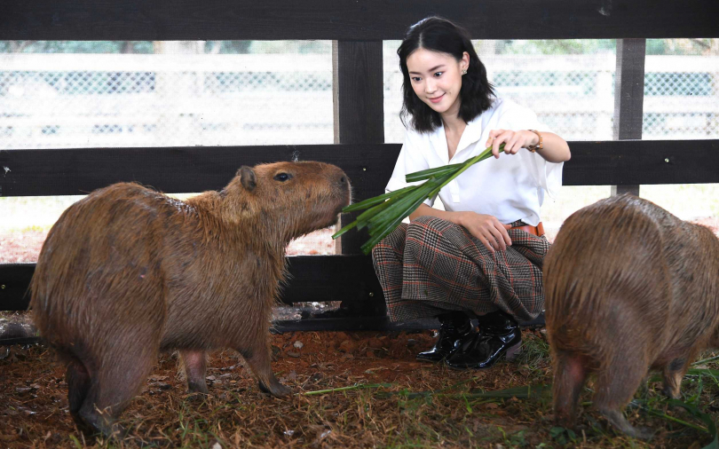 鍾瑶年後新戲開拍　被問感情：先放一邊吧