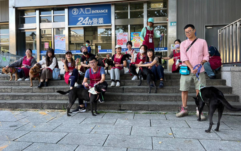 新北市新店動物之家舉辦平安夜送養會！讓毛孩們找到屬於自己的家！