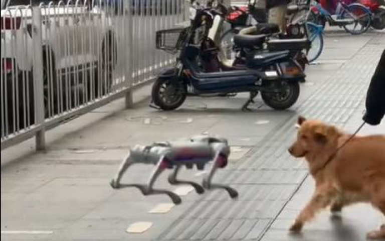 狗界的哆啦A夢？　阿金看到機械狗跳躍嚇到爛掉