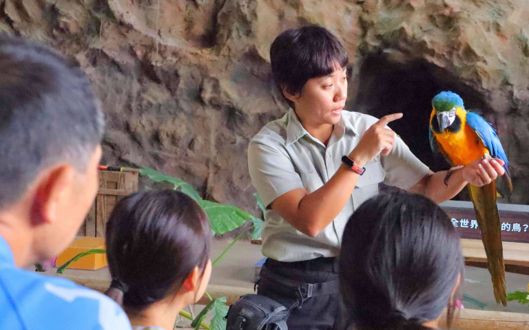 六福村門票下殺33折！推「鳥飛探索保育營」近距離觀察鳥類習性，超有趣！
