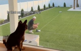 遛狗神器！　主人坐在原地就能讓狗狗盡情奔跑放電