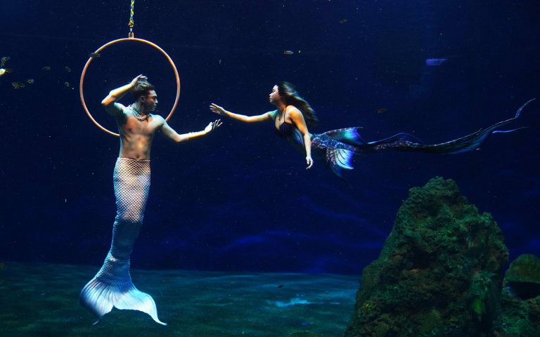 花蓮旅遊新提案2／海洋公園人魚實境秀超吸睛　全新小水獺主題區萌翻天