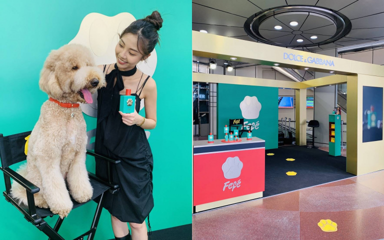 快帶家中毛孩一起來玩！到「FEFE’狗狗樂園」領寵物零食、拍可愛沙龍照順便噴香體驗，超享受！