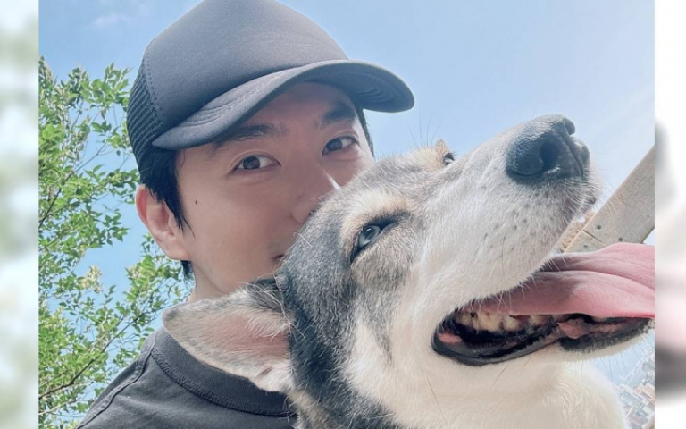 心疼流浪狗遭虐　李程彬直接帶回家養到胖