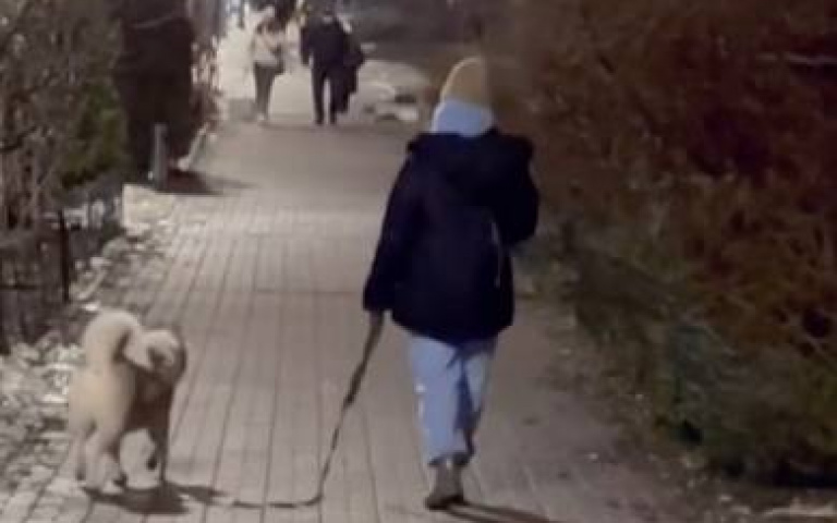 到底誰在遛誰？二哈「繞主人轉圈圈」逗笑網友　懂狗之人曝光悲情一面