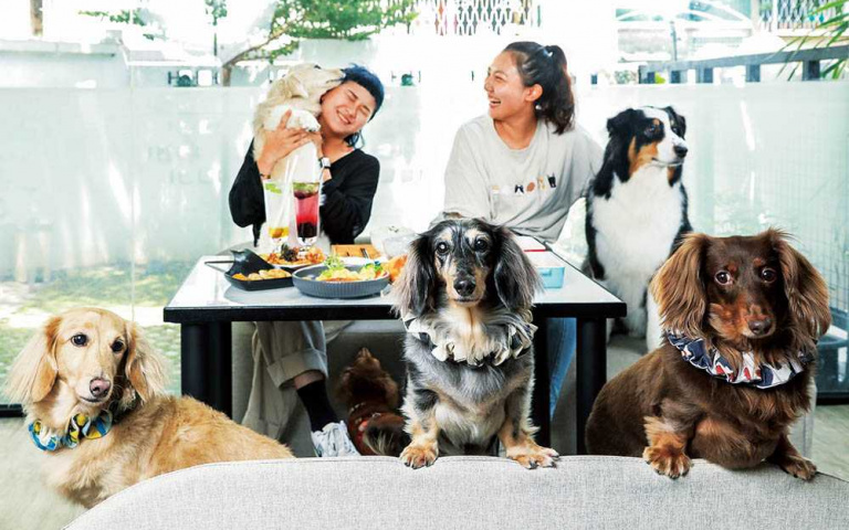 寵毛孩嘗美食1/踏踏地球 全能放風基地