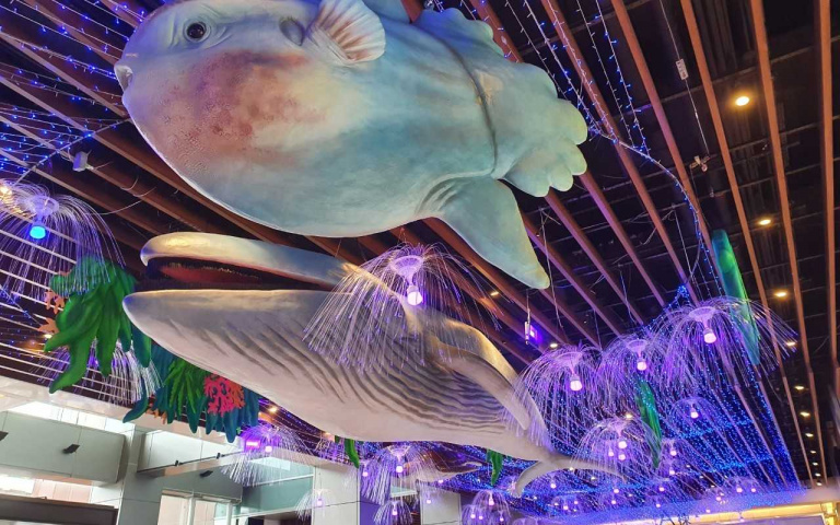巨型藍鯨來襲!購物中心秒變「海底世界」曼波魚、閃亮水母卡哇伊超好拍