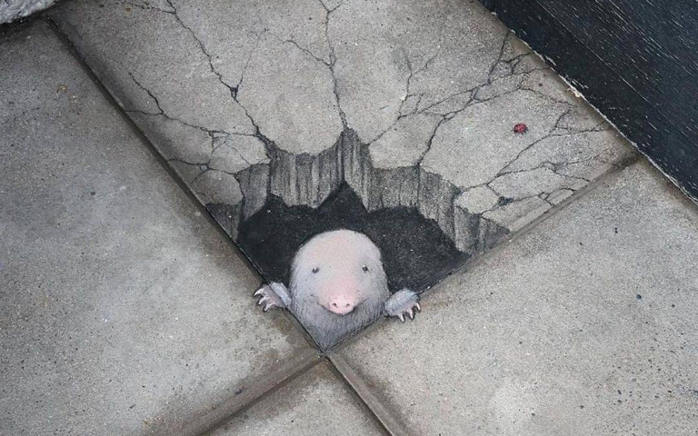 咦？地上怎麼會有小動物！街頭粉筆畫藝術家 David Zinn的路面畫本！