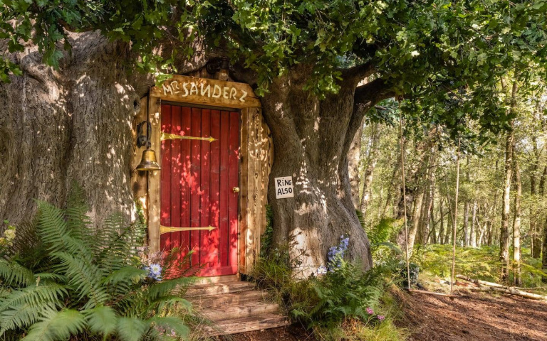 來自迪士尼的Airbnb套房，讓你身陷兒時童話之中，以「小熊維尼」為題當然住爆啊～