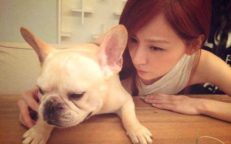 王心凌勇敢淚別愛犬布魯托:頭也不回的Go!