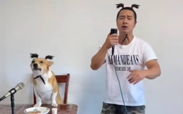 主人失戀了？「改編麥可傑克遜名曲」唱情歌　狗狗陪一旁直接搶風采