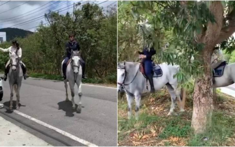 客人問早餐店「能帶寵物嗎」　店家同意後竟出現2「白馬公主」驚喜全場