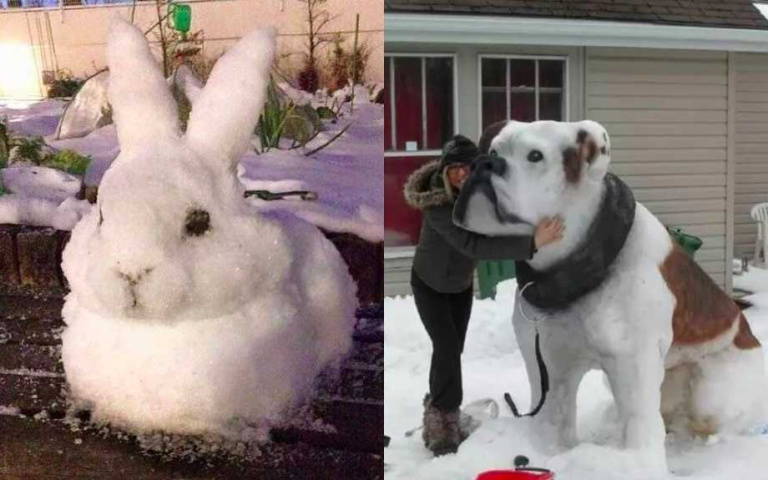 大戰一觸即發!到底誰家的「雪毛孩」最像本尊?奴才們使出看家本領時間到!