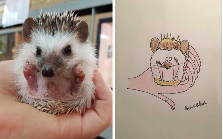 當寵物被弄醜了 你會生氣嗎？國外男子Hercule Van Wolfwinkle專畫這樣的作品～